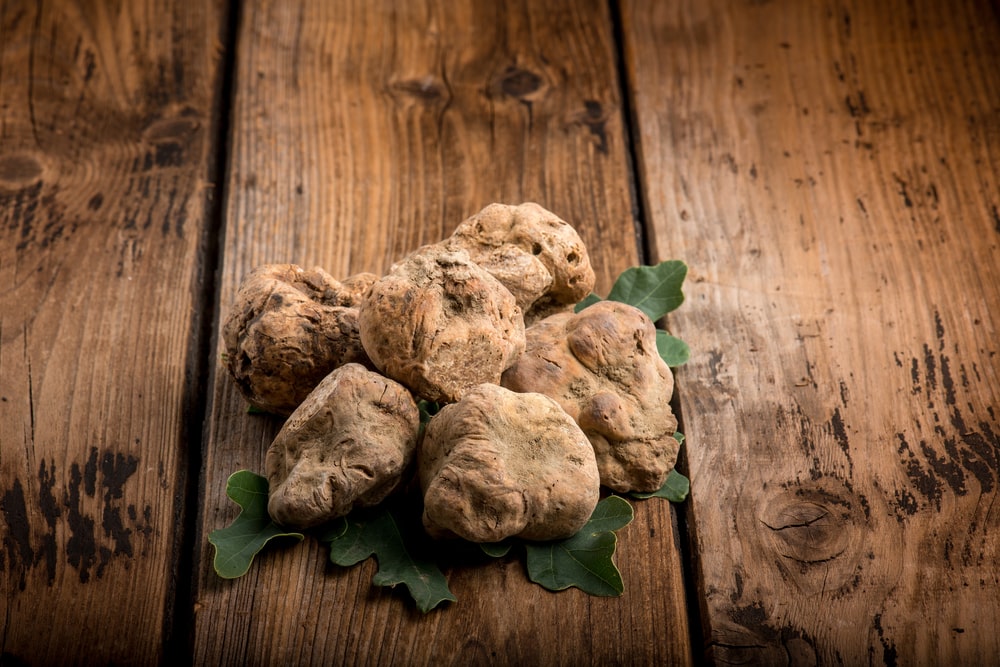 Milano Fiera del Tartufo bianco