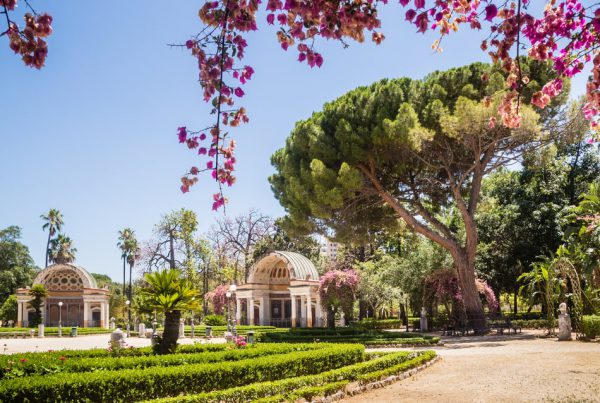 50&Più Palermo visita l'orto botanico