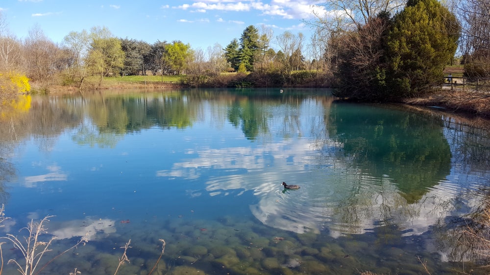 Torino parco della Pellerina