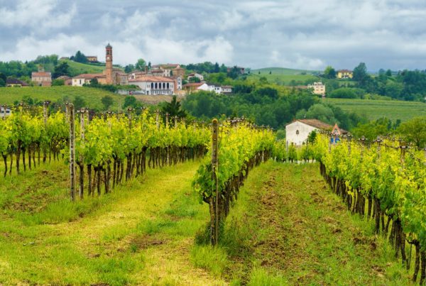 50&Più Torino in gita nelle langhe