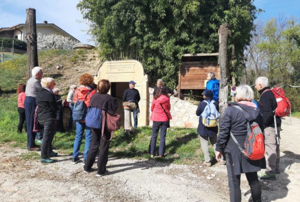 Camminata della serenità sui Colli Berici