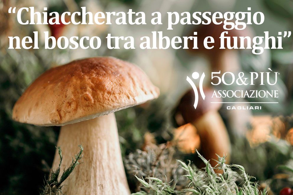 50&Più 26 marzo incontro Chiacchierata a passeggio nel bosco tra alberi e funghi